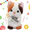 Hopearl Talking Kitty Repeats What You Say Cat with Fish Nodding Electric Interactive Animated Toy Speaking Plush Buddy Gifts for Toddlers, 7'' view 1