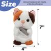 Hopearl Talking Kitty Repeats What You Say Cat with Fish Nodding Electric Interactive Animated Toy Speaking Plush Buddy Gifts for Toddlers, 7'' view 2