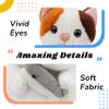 Hopearl Talking Kitty Repeats What You Say Cat with Fish Nodding Electric Interactive Animated Toy Speaking Plush Buddy Gifts for Toddlers, 7'' view 4