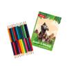 Ausmal-Sets mit Buntstiften Tyrannosaurus view 1