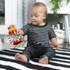 Baby Einstein Cals Sensory Shake-up Developmental Activity Rattle Toy, BPA Free, for Infants Ages 3 Months and up view 4