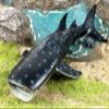 Higherbros Whale Shark Action Figure Toys, Sea Life Shark Animal Figurine Ocean World Realistic Marine Animal, Great for Bath Toys, Birthday Cake Copper for Kids view 2
