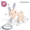Bigjigs Toys FSC Certified Bunny & Baby Pull Along Toy - Eco-Friendly Rabbit Pull Along with Cord & Baby Bunny Push-Along, Quality Pull Along Toys for 1 Year Olds, Wooden Baby Toys view 2