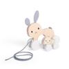 Bigjigs Toys FSC Certified Bunny & Baby Pull Along Toy - Eco-Friendly Rabbit Pull Along with Cord & Baby Bunny Push-Along, Quality Pull Along Toys for 1 Year Olds, Wooden Baby Toys view 4