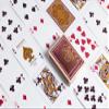 Bicycle Verbena Floral Premium Playing Cards, Gold Foil, 1 Deck view 3