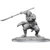 D&D Nolzur's Marvelous Miniatures: Oni Female view 1
