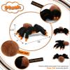 DolliBu Plush Spider Stuffed Animal - Soft Huggable Wild Tarantula, Adorable Playtime Plush Toy, Cute Desert Animals Cuddle Gift for Kids and Adults - 7 Inches view 3