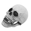 ZJchao Latex Full Head Skull Mask, Movable Jaw Talking Skeleton Mask, Professional Halloween Haunted House Cosplay Masks, Adjustable Horror Costume Accessory view 1