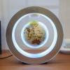 Round LED World Map Floating Globe Magnetic Levitation Light Anti Gravity Magic view 2