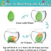Dinosaur Party Favors, 30 Pack Hatching Dinosaur Eggs with Card Bulk - Dino Birthday Goodie Bag Stuffers , Novelty Birthday Party Favors for Kids view 4