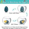 Dinosaur Party Favors, 30 Pack Hatching Dinosaur Eggs with Card Bulk - Dino Birthday Goodie Bag Stuffers , Novelty Birthday Party Favors for Kids view 4