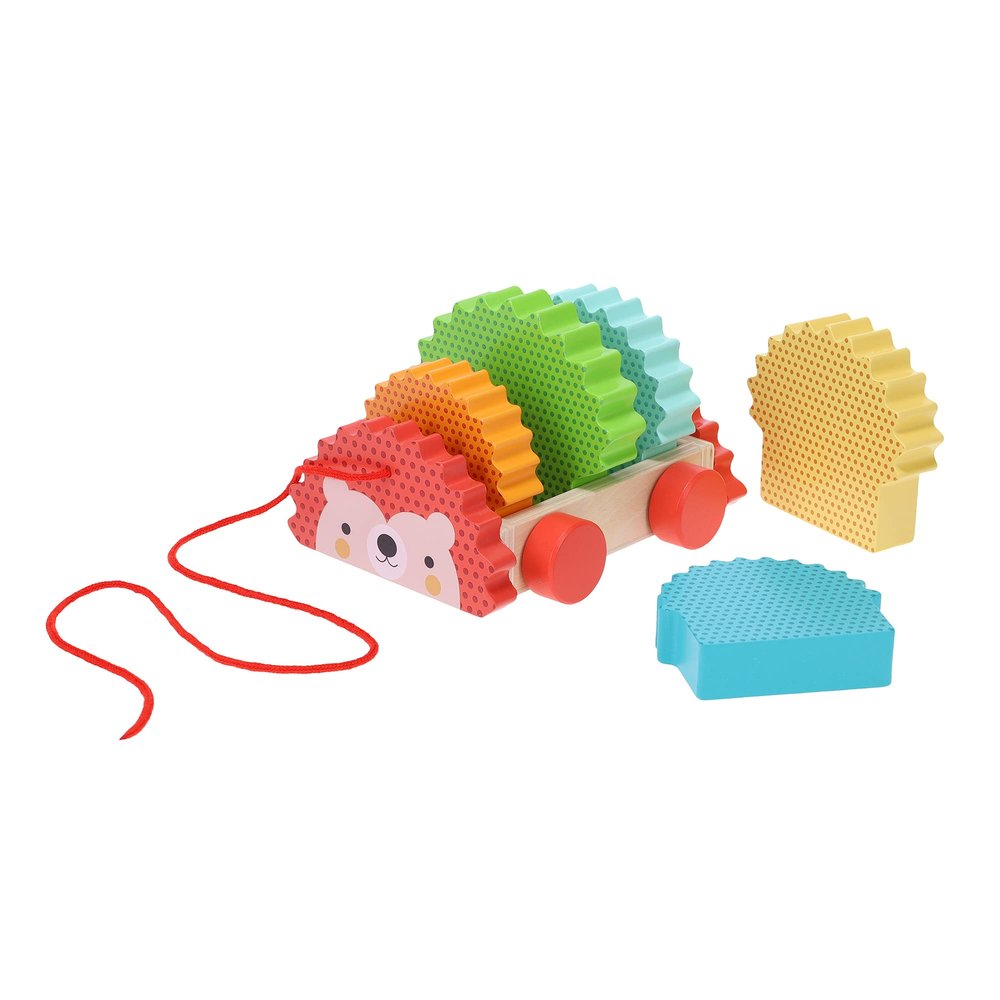 Petit Collage Rainbow Hedgehog Wooden Pull Toy