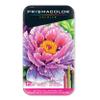 Prismacolor 6 Packs: 12 ct. (72 total) Premier Botanical Garden Colored Pencils view 3