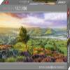 Purple Bloom Puzzle 1000 Teile view 1