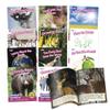 Junior Learning Decodable Readers Sound Families R-Controlled Non-Fiction Phase 5.5, Vowel Sounds, Learn to Read, Easy decodable Texts, with 12 Books, for Ages 5+, Grade K, Medium view 1