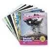 Junior Learning Decodable Readers Sound Families R-Controlled Non-Fiction Phase 5.5, Vowel Sounds, Learn to Read, Easy decodable Texts, with 12 Books, for Ages 5+, Grade K, Medium view 2