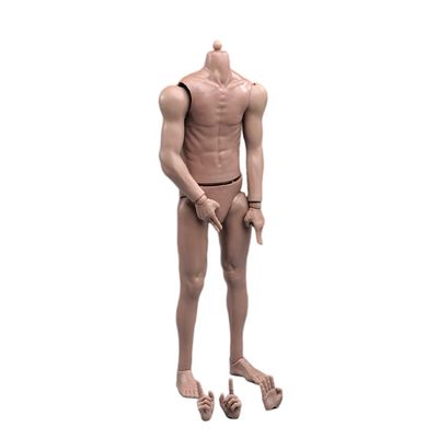 1/6 Scale Male Body,12inch Male Strong Muscular Flexible Action Figure Soldier Body Doll Collection (Standard Version)