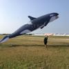 Soft Inflatable Killer Whale Kite Pendant for Adults Giant Black Whale Kite Line Laundry view 2