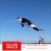 Soft Inflatable Killer Whale Kite Pendant for Adults Giant Black Whale Kite Line Laundry view 4