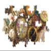 Clementoni 39748 Collection Panorama Herbalist Desk 1000 Pieces, Jigsaw Puzzle for Adults-Made in Italy, Multi-Coloured view 4