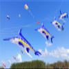 7m Large Soft Inflatable Swordfish Kite Line Laundry for Adults Giant Marlin Nylon Kite Pendant view 4