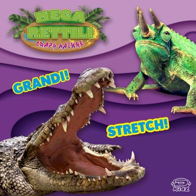 D-KIDZ Crazy Nature DIM02236P Mega Reptile Assortment Multicolour
