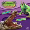 D-KIDZ Crazy Nature DIM02236P Mega Reptile Assortment Multicolour view 1