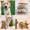 Zhanmai 25 Pack Mini Sombrero Mexican Hat Cinco De Mayo Straw Hat Party Decorations with Cord for Kid Pet Fiesta Costume (9 Inch) view 4