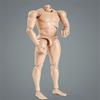 1/6 Scale Male Body, Male 12inch Flexible Muscular Action Figure Body Wide Shoulder Miniature Doll Collectible (B) view 4