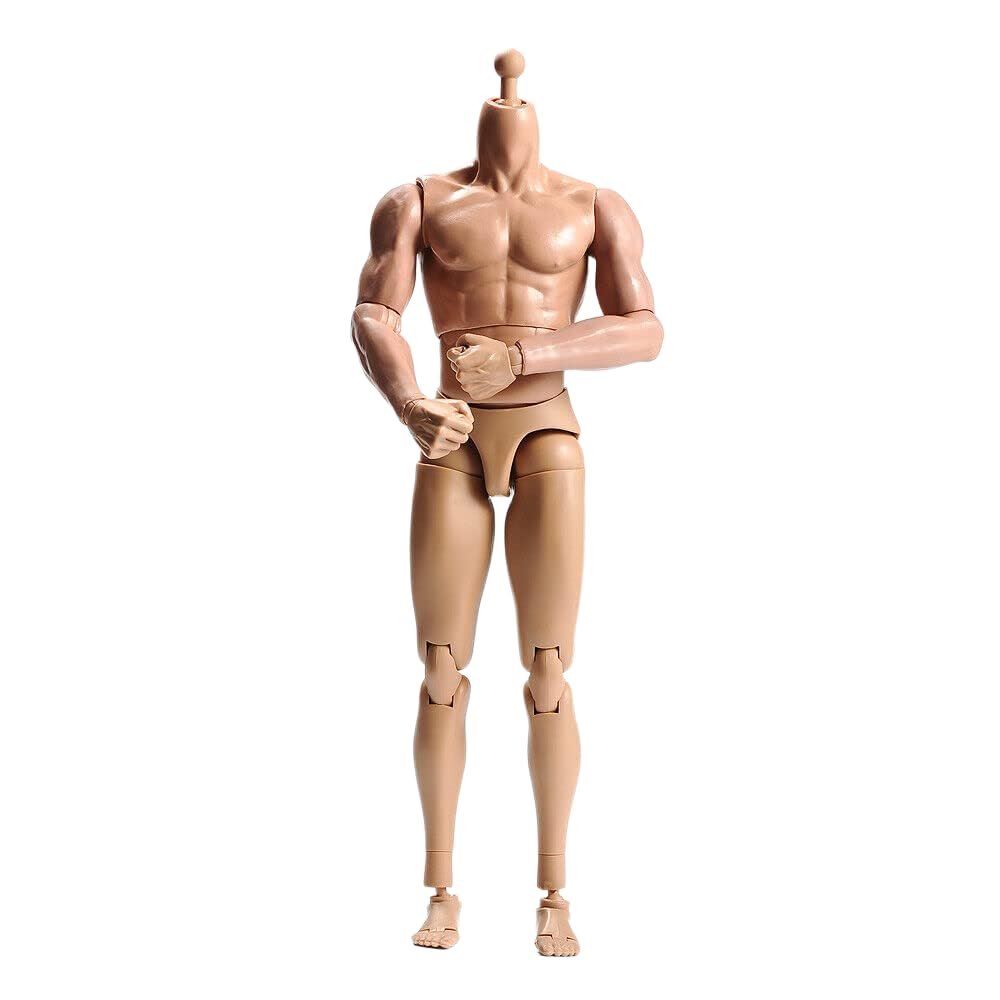 1/6 Scale Male Body, Male 12inch Flexible Muscular Action Figure Body Asia Skin Long Neck Miniature Doll Collectible (C)
