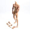 1/6 Scale Male Body, Male 12inch Flexible Muscular Action Figure Body Asia Skin Long Neck Miniature Doll Collectible (C) view 2