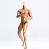 1/6 Scale Male Body, Male 12inch Flexible Muscular Action Figure Body Asia Skin Long Neck Miniature Doll Collectible (C) view 3