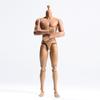 1/6 Scale Male Body, Male 12inch Flexible Muscular Action Figure Body Asia Skin Long Neck Miniature Doll Collectible (C) view 4