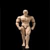 1/12 Scale Male Action Figure,6inch Male Flexible Muscular Strong Miniature Figure Body Doll Collectible view 3