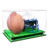 Better Display Cases Acrylic Double Football and Helmet Display Case - Large Rectangle Box with Clear Case, Black Risers and Turf Base 18" x 14" x 12" (A014/B60) view 1