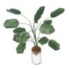 1:12 Scale Miniature Banana Tree Plant, Realistic Dollhouse Decor with Glass Bottle for Model Home Display Role Play Game Accessories (L) view 1