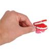 The Dreidel Company Wind Up Teeth Chomping & Chattering Teeth Toys for Kids Birthday Party Favors, Novelty and Gag Gifts, 1.75" Inches (12-Pack) view 4