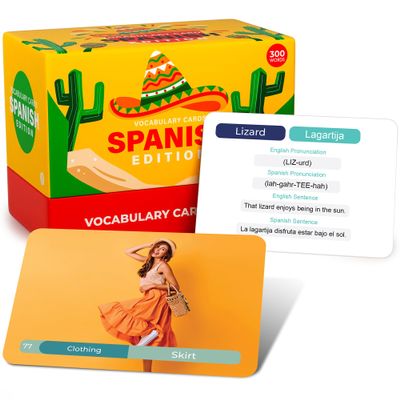 Spanish Vocabulary Flash Cards  300 Words & Sentences for Beginners & Adults - Learn Spanish Language with Pronunciation Guide - Study Aid for Classroom, ESL, Homeschool, Travel Learning  Briston