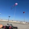18m Pink Jellyfish Kite for Adults 30D Nylon Soft Inflatable Solid Animal Show Kites Easy to Fly view 2