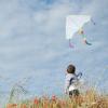 1 Set Kite Kit Kites for Kids Ages 4-8 Funny Blank Kite Kids Toys Craft Kits for Kids Children Kite Toy Funny Drawing Kite Interesting Blank Kite Portable Kids Kite Toy Kids Supply view 2