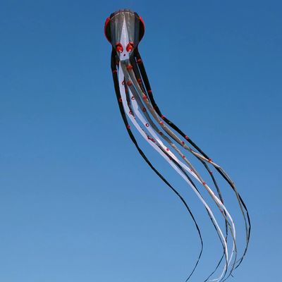 New Giant 65ft Capricorn Octopus Kite for Adults Large Soft Inflatable Show Parafoil Octopus Kites