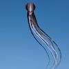 New Giant 65ft Capricorn Octopus Kite for Adults Large Soft Inflatable Show Parafoil Octopus Kites view 1