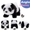 Hopearl Crawling Panda Interactive Electronic Pet Plush Toy with Sounds and Movements Animated Shaking Head Gifts for Toddlers Birthday, 7'' view 3
