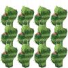 Kathfly 12 Pcs Mini Donkey Piatas Small Mexican Piata Fiesta Decorations Mexican Party Decorations Cinco De Mayo Piata for Mexican Fiesta Theme Birthday Party Decor Supplies (Cactus) view 1