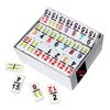 OMURA Games | Double15 Pro Size Dominoes Set | Tile: White with Color Numeral view 2