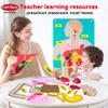 Craftstory Teaching Body Parts Felt Board Stories for Toddlers, Arts Crafts Toys for Kids Sensory Activities Teacher Daycare Supplies view 3