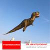 Hfly Kite 6m Tyrannosaurus Kite Line Laundry for Adults Outdoor Fun Beach Soft Inflatable Dinosaur Kite Pendant view 2