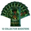 Magic: The Gathering The Lord of The Rings: Tales of Middle-Earth Collector Booster Box - 12 Packs + 1 Box Topper Card view 2