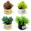 4Pcs Miniature Dollhouse Potted Plants Tiny Artificial Succulent Bonsai for 1:12 Mini Dollhouse Greenery Scene Model Micro Landscape Decoration view 1