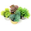 4Pcs Miniature Dollhouse Potted Plants Tiny Artificial Succulent Bonsai for 1:12 Mini Dollhouse Greenery Scene Model Micro Landscape Decoration view 2